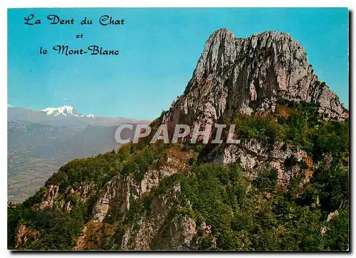 Moderne Karte La Dent du Chat et le Mont Blanc