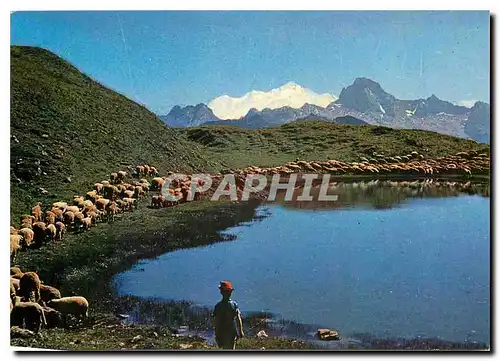 Cartes postales moderne Col de la Colombiere Haute Savoie