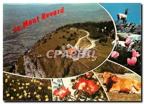 Cartes postales moderne Le Mont Revard Savoie