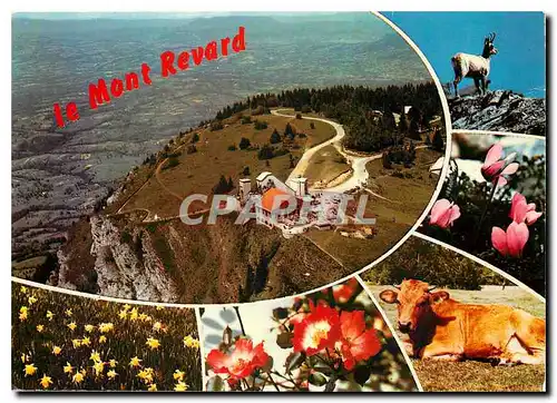 Cartes postales moderne Le Mont Revard Savoie