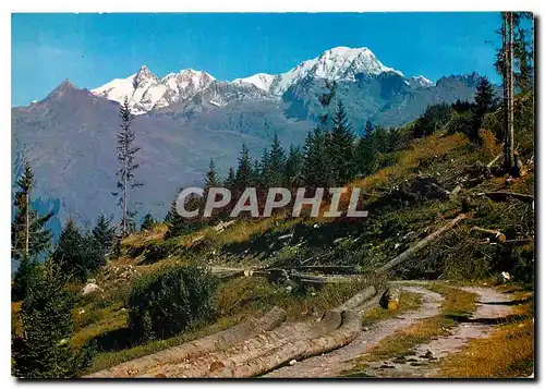 Cartes postales moderne En parcourant les Pyrenees Pittoresque promenade