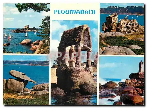 Cartes postales moderne Ploumanach C du N Le chateau de Costaerens