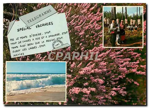 Cartes postales moderne Visage des Landes