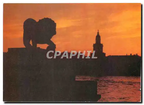 Cartes postales moderne Russie Russia Lion