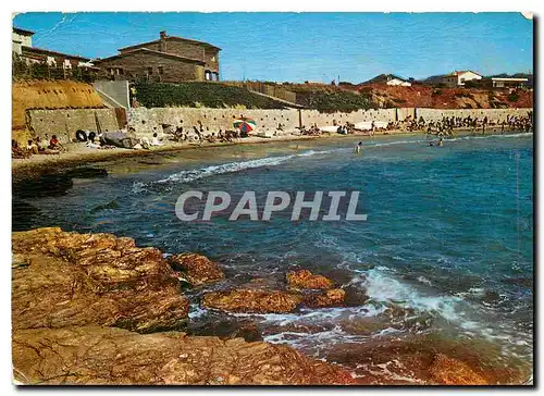 Cartes postales moderne Le Brusc La plage du Rayolet