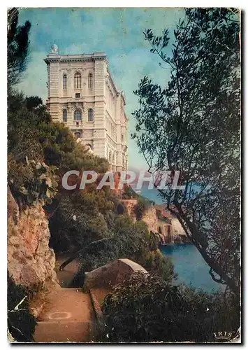 Cartes postales moderne Monaco Le Musee Oceanographique