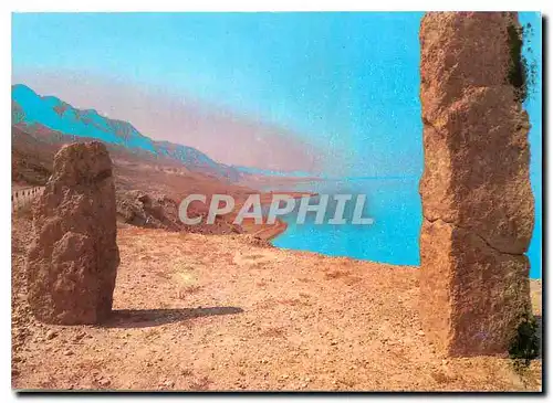 Cartes postales moderne Israel