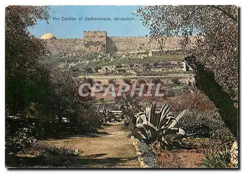 Moderne Karte The Garden of Gethsemane Jerusalem