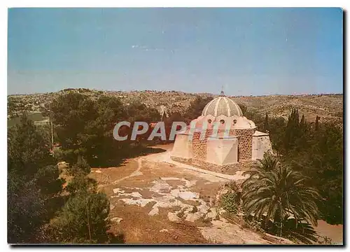 Cartes postales moderne Bethlehem Shepherd Field