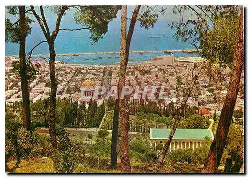 Cartes postales moderne Haipa View from Mt Carmel