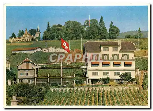 Cartes postales moderne Hotel Restaurant Bellevue Auvernier