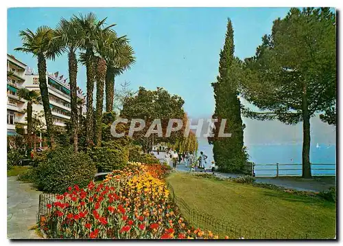 Cartes postales moderne Locarno Lago Maggiore