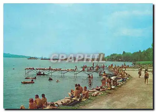 Moderne Karte Gruss vom Plaffensee