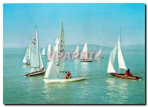 Cartes postales moderne Gruss vom Plattensee