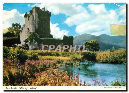 Cartes postales moderne Ross Castle Killarney Ireland
