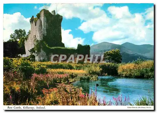 Cartes postales moderne Ross Castle Killarney Ireland