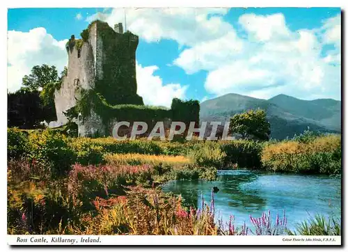 Moderne Karte Ross Castle Killarney Ireland