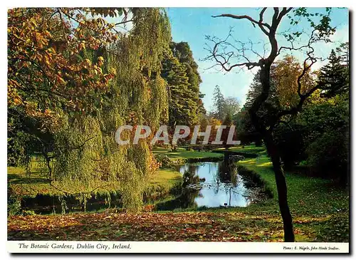 Cartes postales moderne The Botanic Gardens Dublin City Ireland