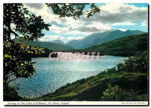 Cartes postales moderne Evening on The Lakes of Killarney Co Kerry Ireland