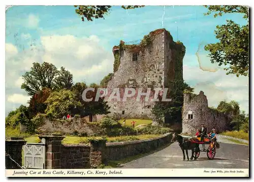 Moderne Karte Jaunting Car at Ross Castle Killarney Co Kerry Ireland