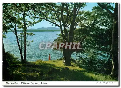 Moderne Karte Muckross Estate Killarney Co Kerry Ireland