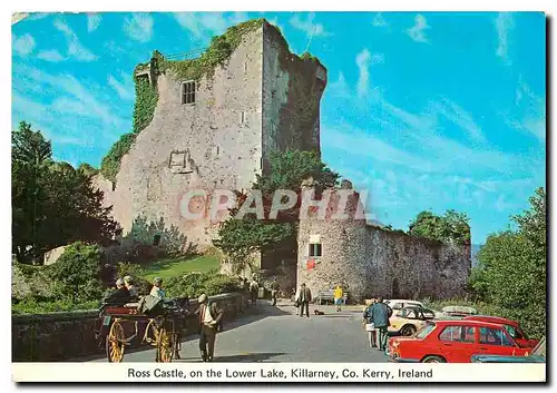 Moderne Karte Ross Castle on the Lower Lake Killarney Co Kerry Ireland