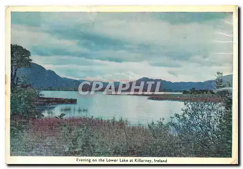 Cartes postales moderne Evening on the Lower Lake at Killarney Ireland