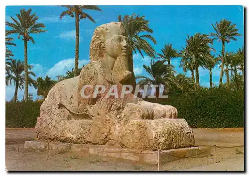 Cartes postales Giza The Sphinx of Sakkara