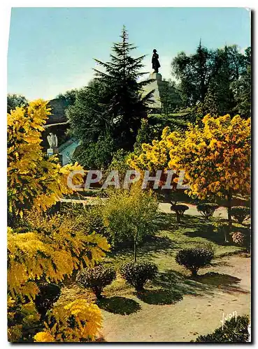 Cartes postales Ajaccio La Grotte Napoleon et la Place du Casone