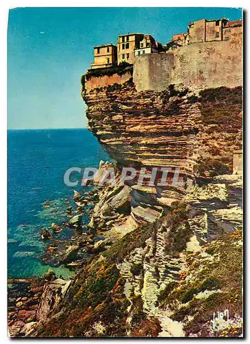 Cartes postales Bonifacio La Corse oasis de Beaute