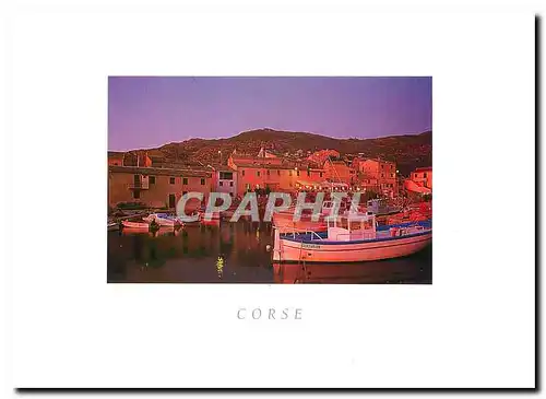 Cartes postales Corse Port de Centuri
