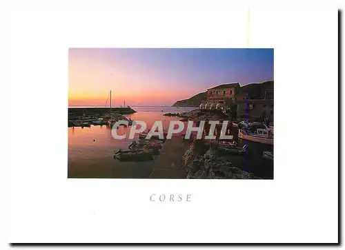 Cartes postales Corse Port de Centuri
