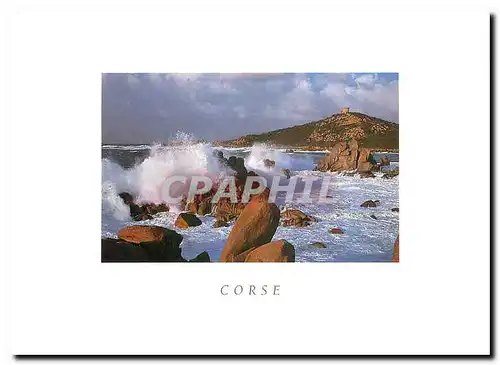 Cartes postales Corse Campomoro