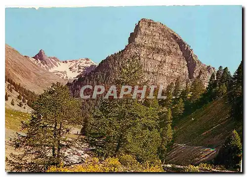 Cartes postales Alpes de Hte Provence La Tour des Sagnes