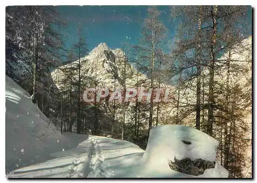 Cartes postales moderne Ailefroide Hautes Alpes Au pied du Pelvoux
