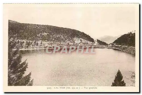 Cartes postales Lac Noir Vue generale