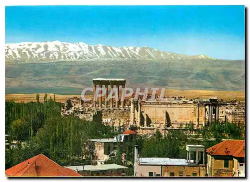 Cartes postales moderne Lebanon Vue Generale