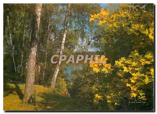 Cartes postales moderne Pljess Svoboda Liberty Hill