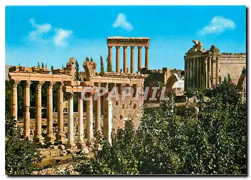 Cartes postales moderne Lebanon Ruines du Marche Romain