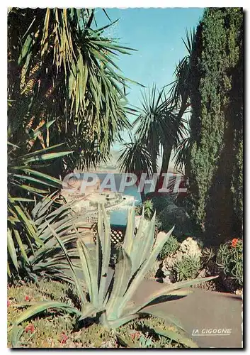 Cartes postales moderne Monaco Le Jardin Exotique Echappee sur Monte Carlo