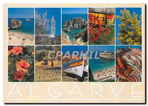 Cartes postales moderne Algarve