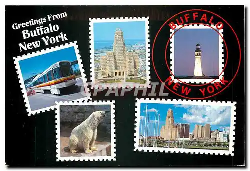 Cartes postales moderne Greetings from Buffalo New York Ours Blanc