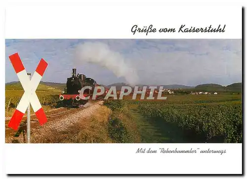 Cartes postales moderne Gruesse vom KAiserstuhl