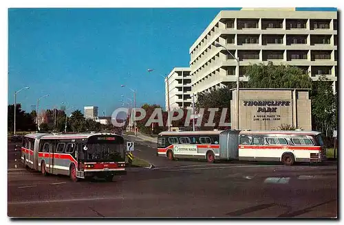 Moderne Karte Here two of TTC's twelve ''artics'' pass on the busy THORNCLIFFE PARK route in September 1983