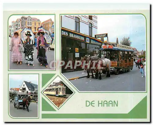 Cartes postales moderne De Haan