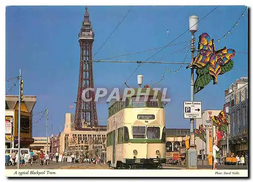 Cartes postales moderne A Typical Blackpool tram