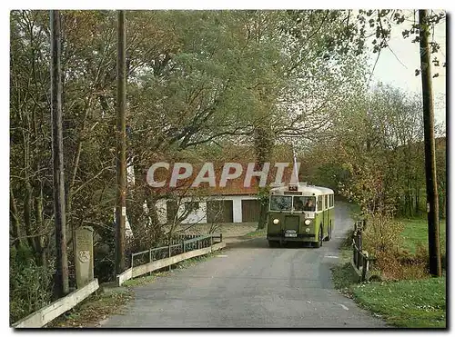 Cartes postales moderne MSS buss 47