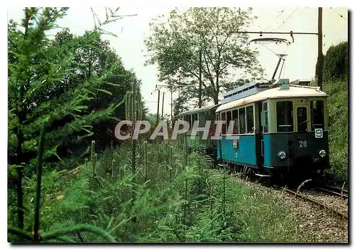 Moderne Karte Chemin de fer touristique Blonay-Chamby Le tram 28 ex-T.L. dans la verdure