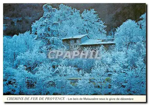 Moderne Karte Les bois de Malaussene sous le givre de decembre