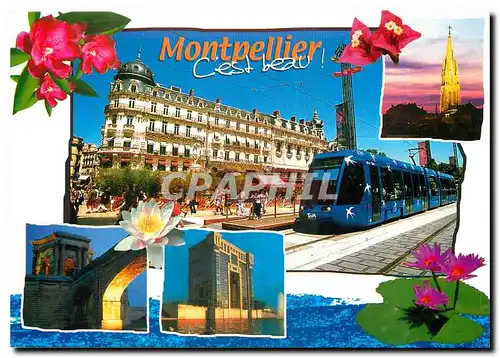 Cartes postales moderne Le tramway sur la Comedie le Chateau d'eau du Peyrou l'eglise Sainte-Anne l'hotel de region